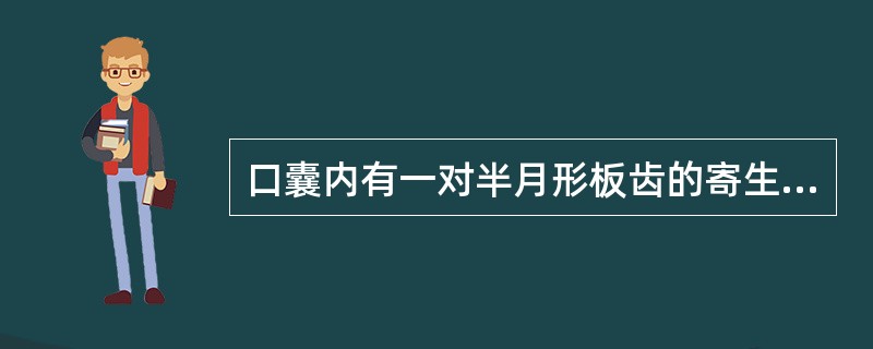 口囊内有一对半月形板齿的寄生虫为A、十二指肠钩虫B、美洲钩虫C、蛔虫D、蛲虫E、