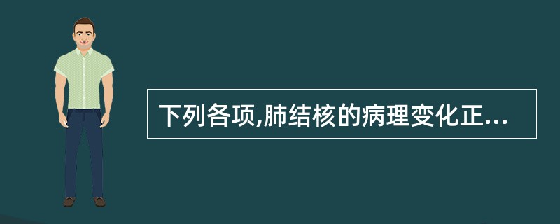 下列各项,肺结核的病理变化正确的是A、以渗出为主的病灶中结核菌数极少B、以增殖为