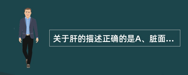 关于肝的描述正确的是A、脏面借“H”形沟分为4叶B、肝的脏面上有镰状韧带C、肝门