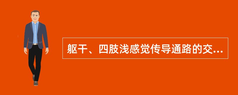 躯干、四肢浅感觉传导通路的交叉部位在( )。A、脊髓白质前连合B、延髓中央灰质腹