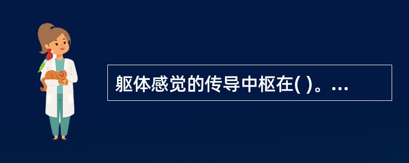 躯体感觉的传导中枢在( )。A、额叶B、颞叶C、顶叶D、枕叶E、岛叶