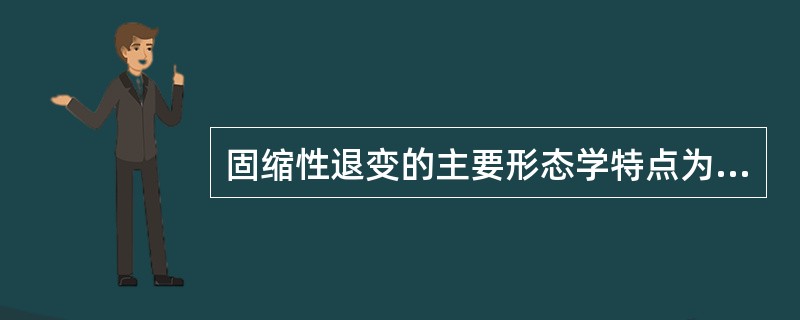 固缩性退变的主要形态学特点为A、细胞边界不清B、胞质易出现液化空泡C、整个细胞变