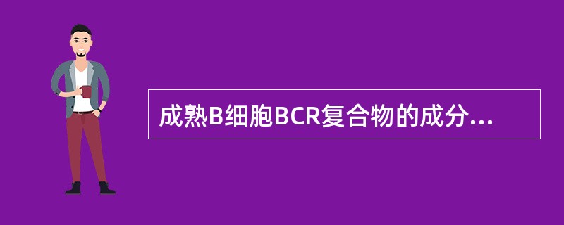 成熟B细胞BCR复合物的成分是A、mIg、CD40和CD21B、mIg、CD19