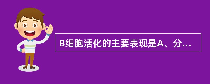 B细胞活化的主要表现是A、分泌抗体B、表达抗原肽:MHC£­Ⅰ类分子C、表达Ig