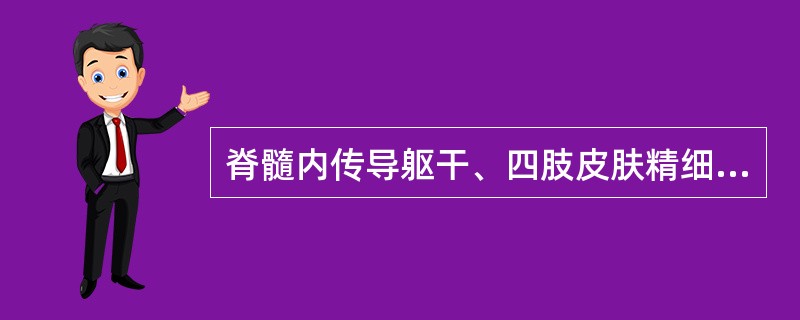 脊髓内传导躯干、四肢皮肤精细触觉的纤维束是( )。A、皮质脊髓侧束B、内侧丘系C