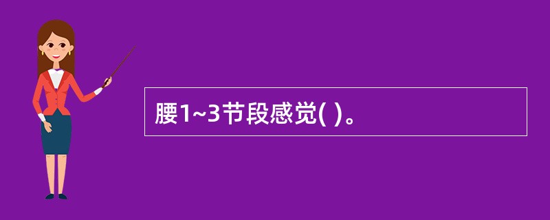 腰1~3节段感觉( )。