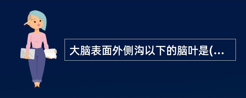 大脑表面外侧沟以下的脑叶是( )。A、额叶B、颞叶C、顶叶D、枕叶E、岛叶 -