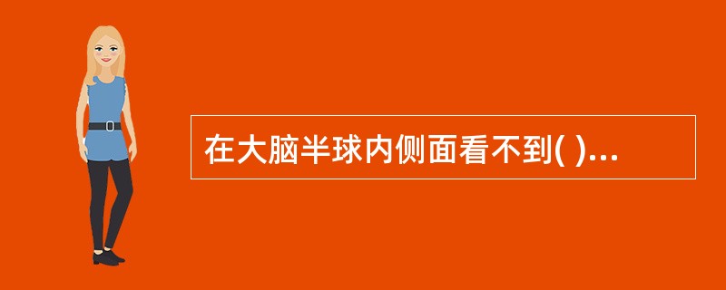 在大脑半球内侧面看不到( )。A、中央旁小叶B、胼胝体C、距状沟D、顶枕沟E、角