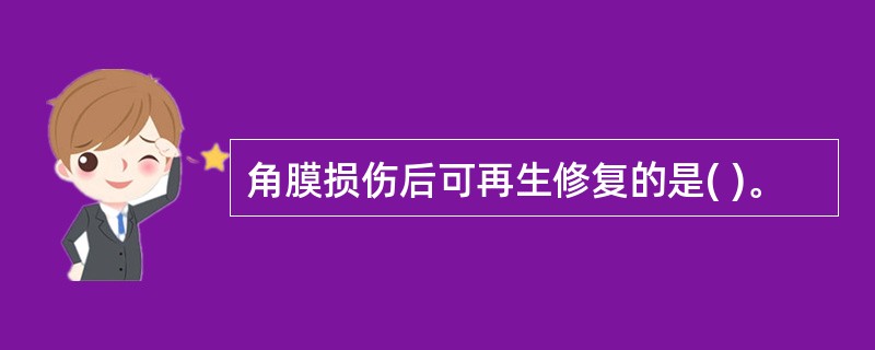 角膜损伤后可再生修复的是( )。