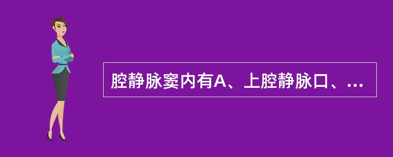 腔静脉窦内有A、上腔静脉口、下腔静脉口和右房室口B、上腔静脉口、右房室口和冠状窦