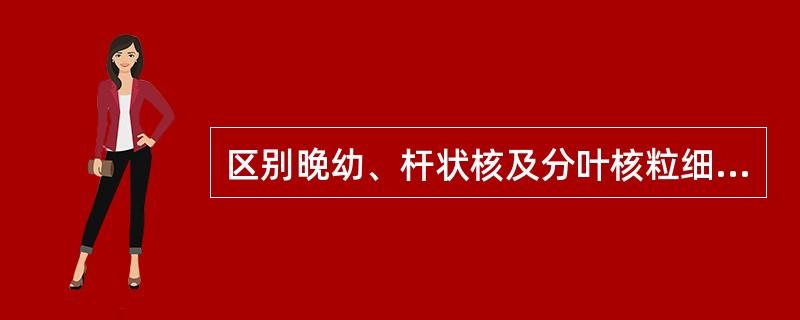 区别晚幼、杆状核及分叶核粒细胞最重要的是A、胞体直径的大小B、核染色质情况C、胞