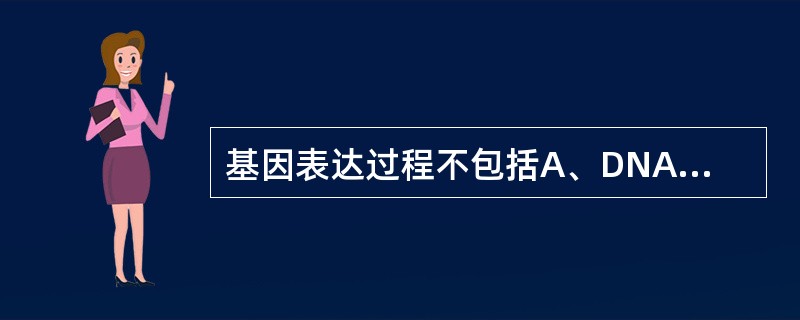 基因表达过程不包括A、DNA复制B、转录C、翻译D、转录后修饰E、翻译后修饰 -