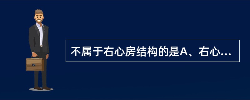 不属于右心房结构的是A、右心耳B、腔静脉窦C、界嵴D、乳头肌E、冠状窦口