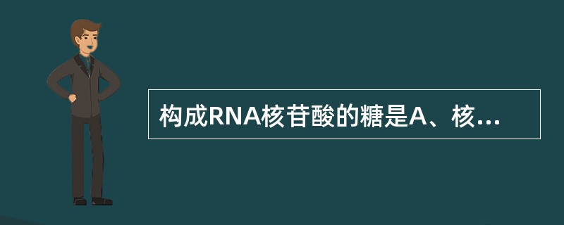 构成RNA核苷酸的糖是A、核糖B、脱氧核糖C、寡糖D、葡萄糖E、果糖