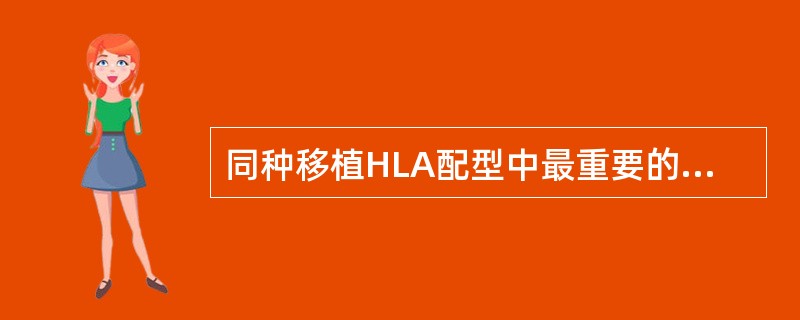 同种移植HLA配型中最重要的抗原是A、HLA£­DR分子B、HLA£­DA分子C