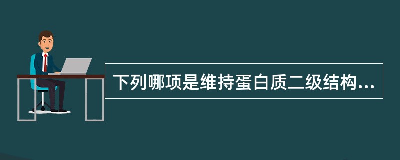 下列哪项是维持蛋白质二级结构主要的化学键( )。A、疏水键B、盐键C、二硫键D、