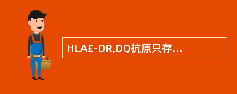 HLA£­DR,DQ抗原只存在于部分细胞上,主要是存在于下列哪个细胞表面( )。