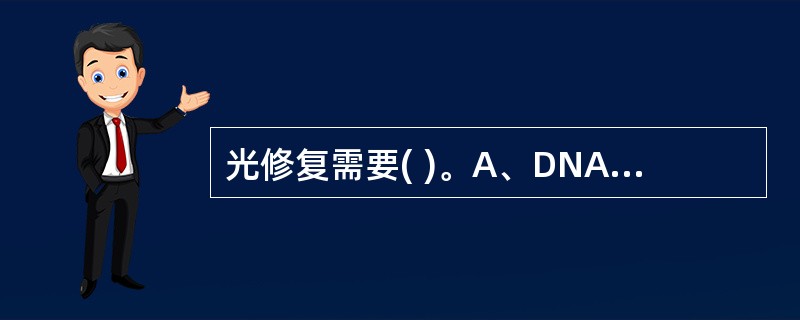 光修复需要( )。A、DNA聚合酶ⅢB、核酸外切酶C、光修复酶D、核酸内切酶E、