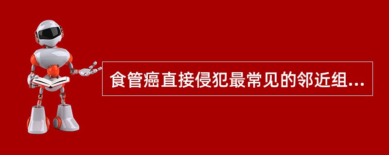 食管癌直接侵犯最常见的邻近组织器官是A、主动脉B、心包C、气管及支气管D、喉E、