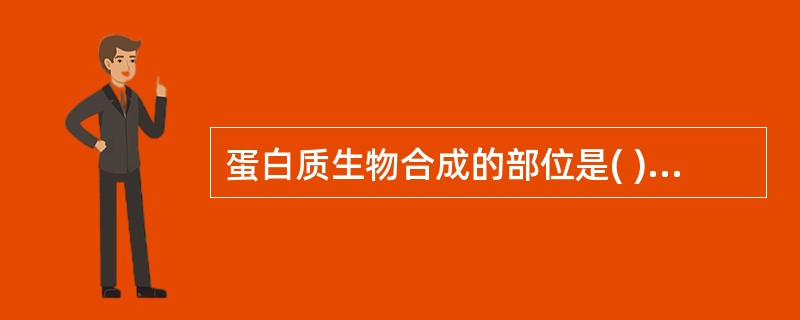 蛋白质生物合成的部位是( )。A、细胞体B、核小体C、核蛋白体D、线粒体E、细胞