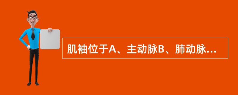 肌袖位于A、主动脉B、肺动脉C、上腔静脉D、下腔静脉E、肺静脉