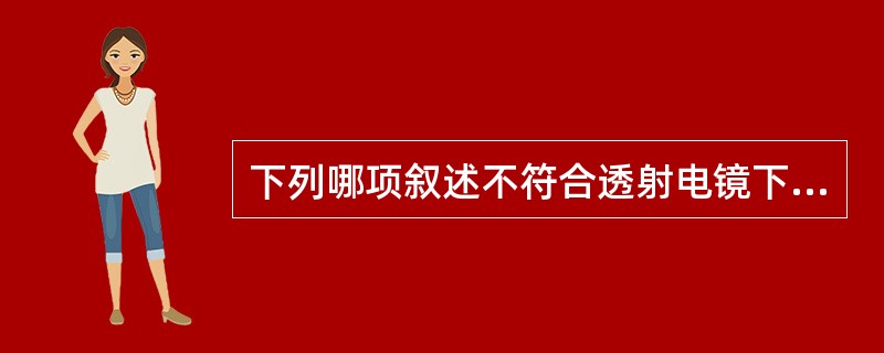 下列哪项叙述不符合透射电镜下的Auer小体A、透射的棒状体,内有疏松的纤维状物质