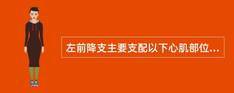 左前降支主要支配以下心肌部位,但除外A、左心室前壁B、前乳头肌C、左心室后壁D、