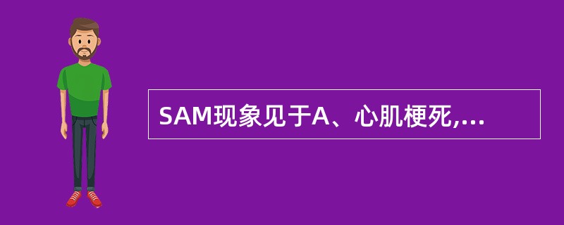 SAM现象见于A、心肌梗死,乳头肌断裂B、扩张型心肌病C、肥厚型心肌病D、致心律