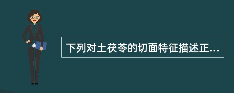 下列对土茯苓的切面特征描述正确的是()。