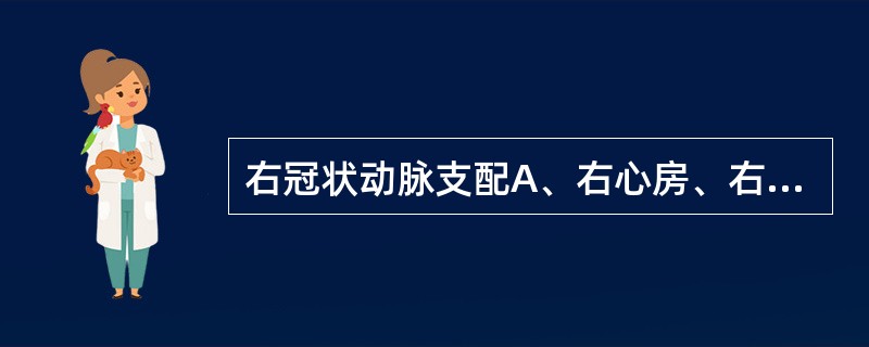 右冠状动脉支配A、右心房、右心室前壁大部分B、右心室侧壁和后壁的全部C、左心室后