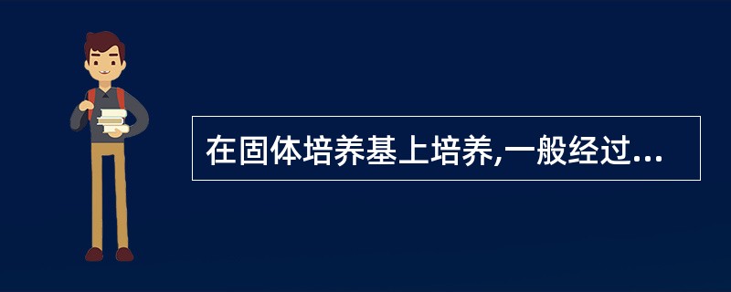 在固体培养基上培养,一般经过多少小时后,单个细菌分裂繁殖成一堆肉眼可见的细菌集团