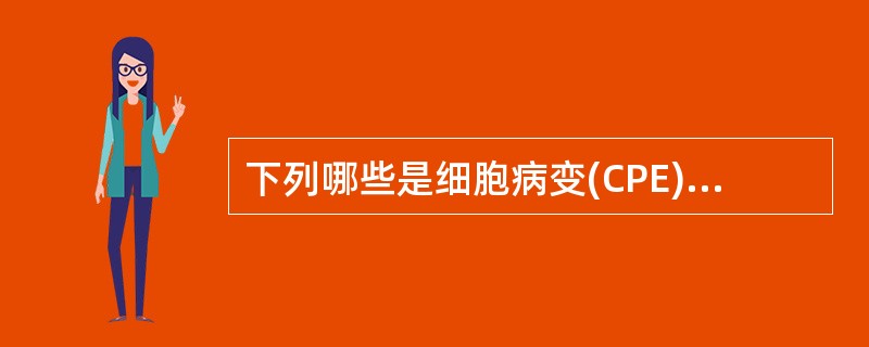 下列哪些是细胞病变(CPE)的表现A、细胞数目增加B、细胞圆缩C、细胞破碎D、细