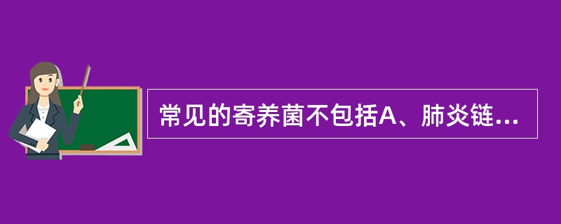 常见的寄养菌不包括A、肺炎链球菌B、流感嗜血杆菌C、淋病奈瑟菌D、百日咳鲍特菌E