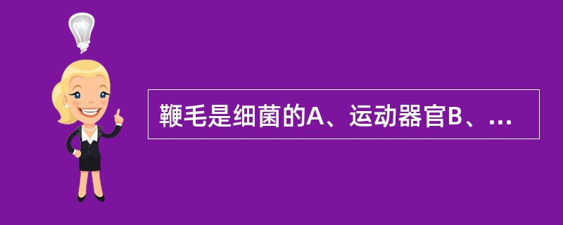 鞭毛是细菌的A、运动器官B、代谢器官C、呼吸器官D、休眠体E、繁殖体