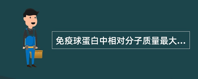 免疫球蛋白中相对分子质量最大的是A、IgAB、IgMC、IgDD、IgGE、Ig