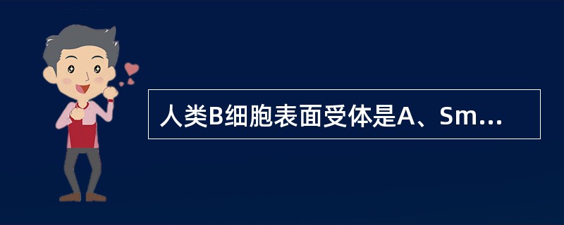 人类B细胞表面受体是A、SmIgB、SRBC受体C、IL£­1受体D、PHA受体