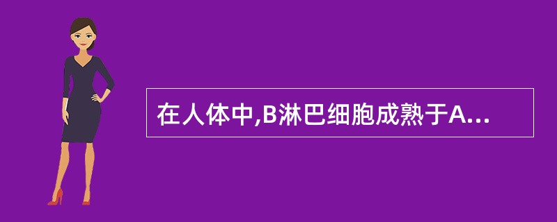 在人体中,B淋巴细胞成熟于A、胸腺B、骨髓C、淋巴D、法氏囊E、脾脏