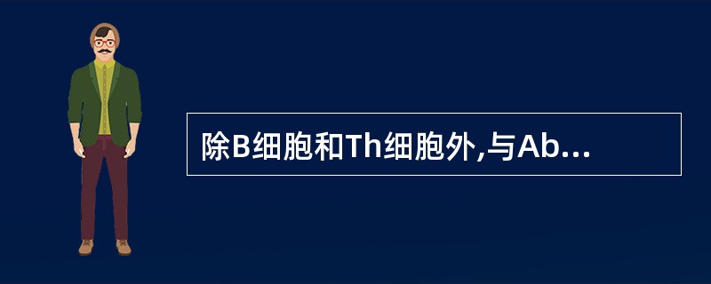 除B细胞和Th细胞外,与Ab产生有关细胞还有A、巨噬细胞B、嗜酸粒细胞C、肥大细