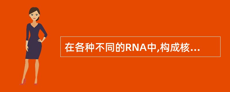 在各种不同的RNA中,构成核糖体骨架的是