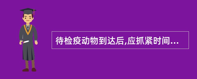 待检疫动物到达后,应抓紧时间进行检疫,然后让其休息。