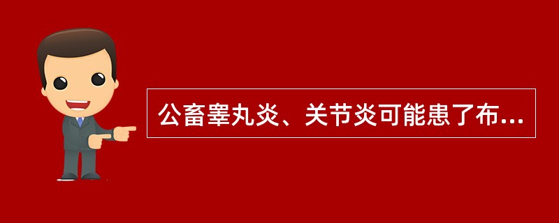 公畜睾丸炎、关节炎可能患了布氏杆菌病。