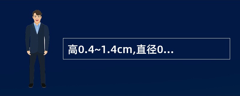 高0.4~1.4cm,直径0.4~1.6cm,外层2瓣鳞叶大小相近,顶端开裂的贝