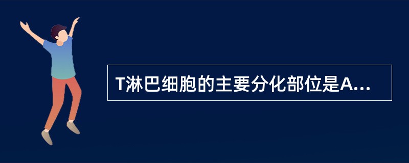 T淋巴细胞的主要分化部位是A、胸腺B、骨髓C、脾脏D、淋巴结、肝等器官及结缔组织