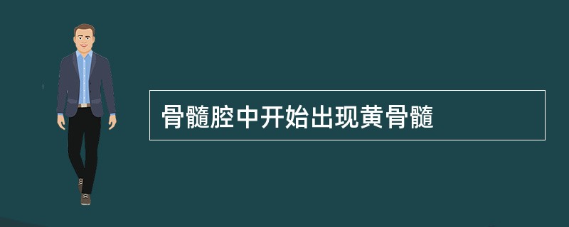 骨髓腔中开始出现黄骨髓