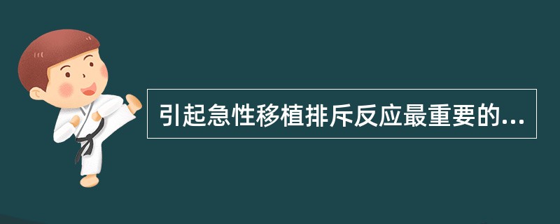 引起急性移植排斥反应最重要的抗原是A、ABO血型抗原B、HLA抗原C、超抗原D、