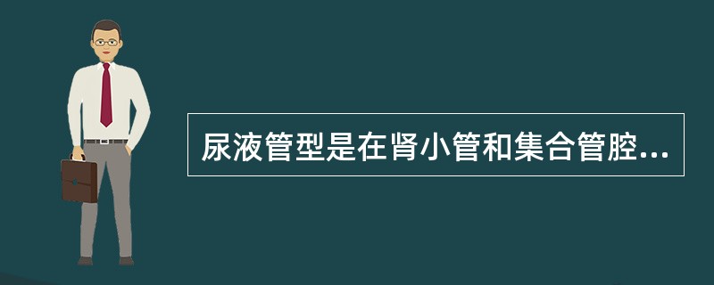 尿液管型是在肾小管和集合管腔中形成的圆管状体。出现于各种原因所致肾小管损伤时