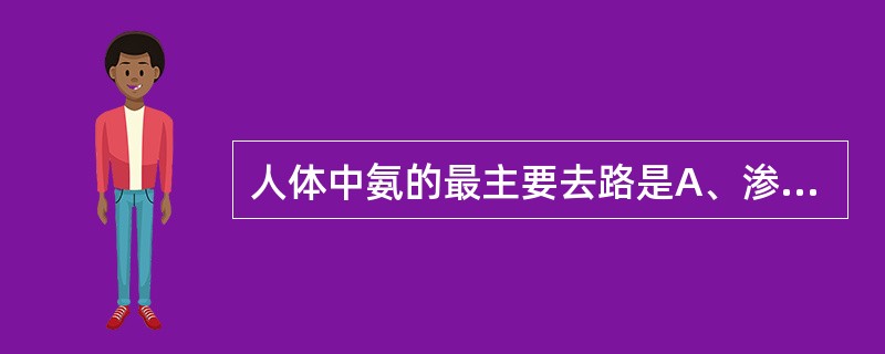 人体中氨的最主要去路是A、渗入肠道B、在肝中合成尿素C、经肾泌氨D、合成氨基酸E