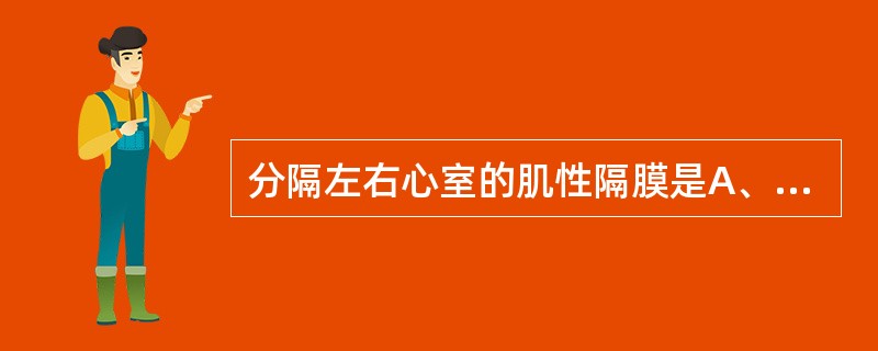 分隔左右心室的肌性隔膜是A、房间隔B、膈肌C、前纵隔D、室间隔E、二尖瓣