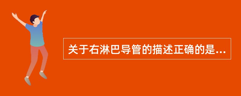 关于右淋巴导管的描述正确的是A、由左、右腰干合成B、穿主动脉裂孔入胸腔,行于胸主