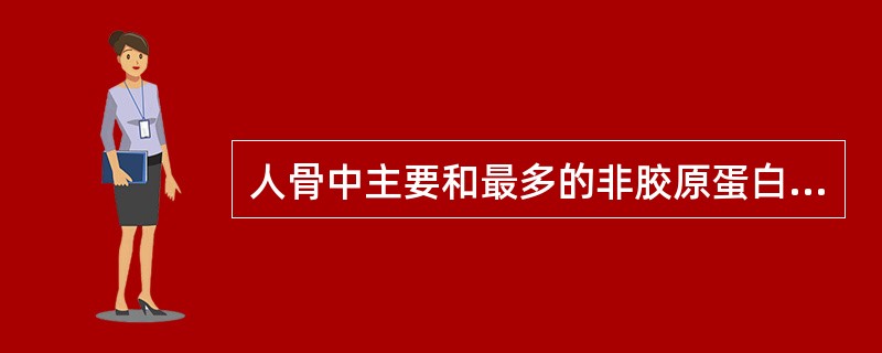 人骨中主要和最多的非胶原蛋白是A、骨连接蛋白B、骨碱性磷酸酶C、骨酸性磷酸酶D、